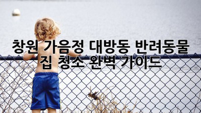 창원 가음정, 대방동 반려동물 집 청소 완벽 가이드